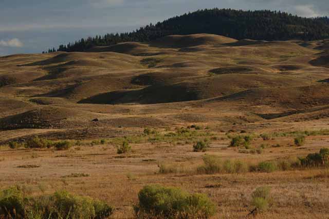 Yellowstone's North Gate entrance